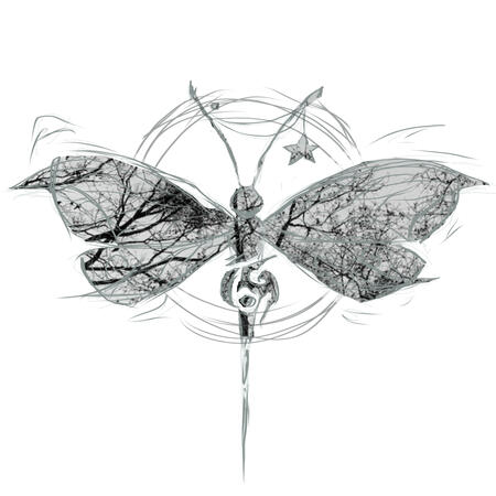 stylised dragonfly/bee drawing logo